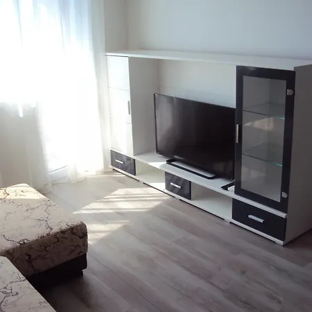 Apartment Alyosha